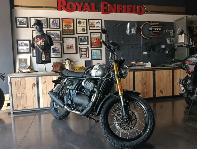 Royal Enfield Bear