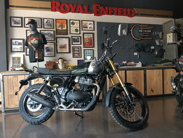 Royal Enfield Bear