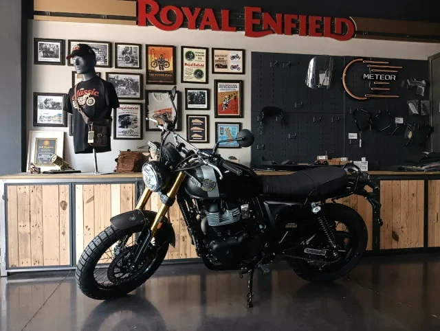 Royal Enfield Bear