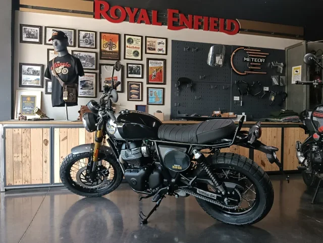 Royal Enfield Bear