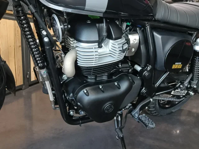 Royal Enfield Bear