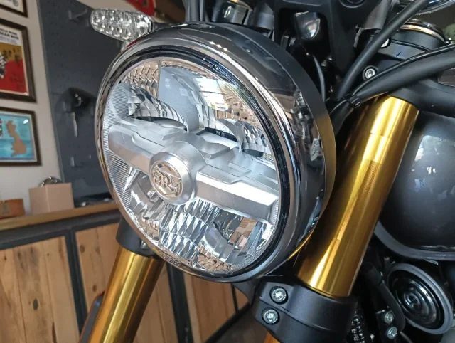 Royal Enfield Bear